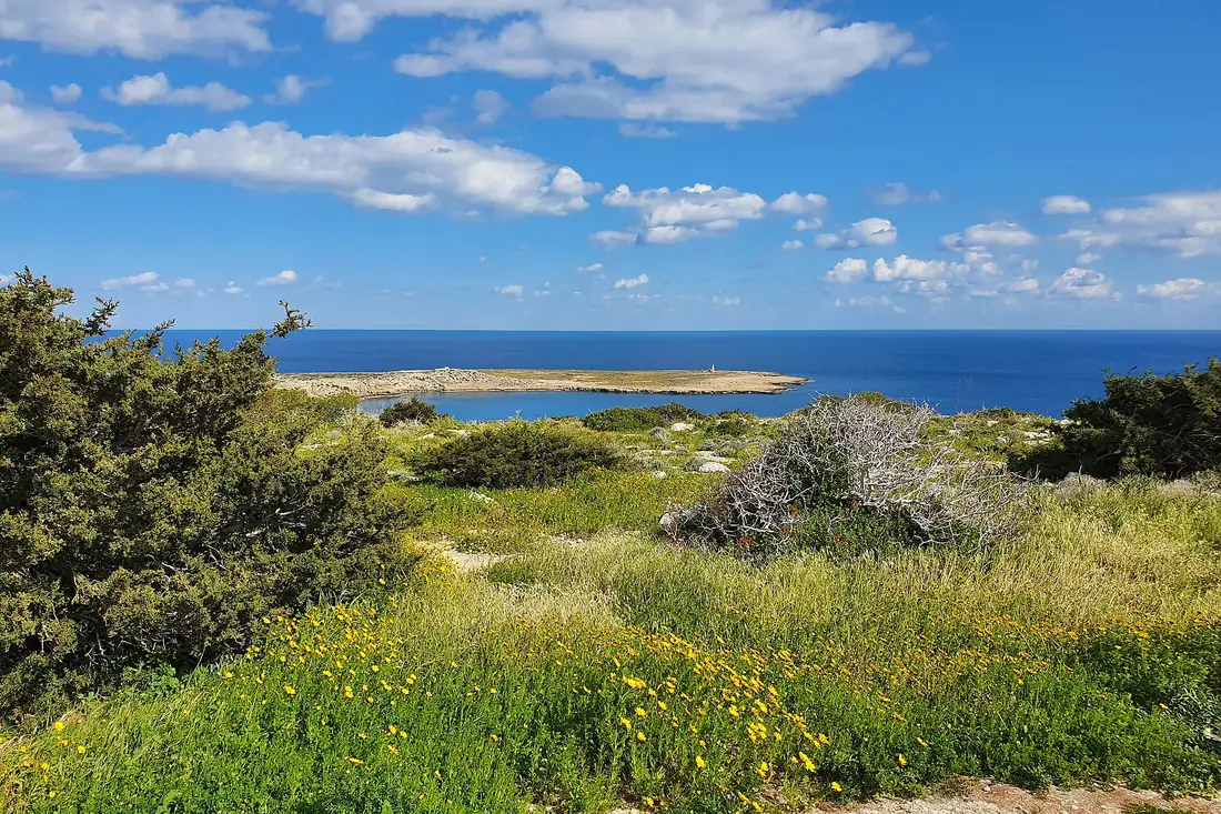 Spring grass and yellow wildflowers on Cape Greco above the sea