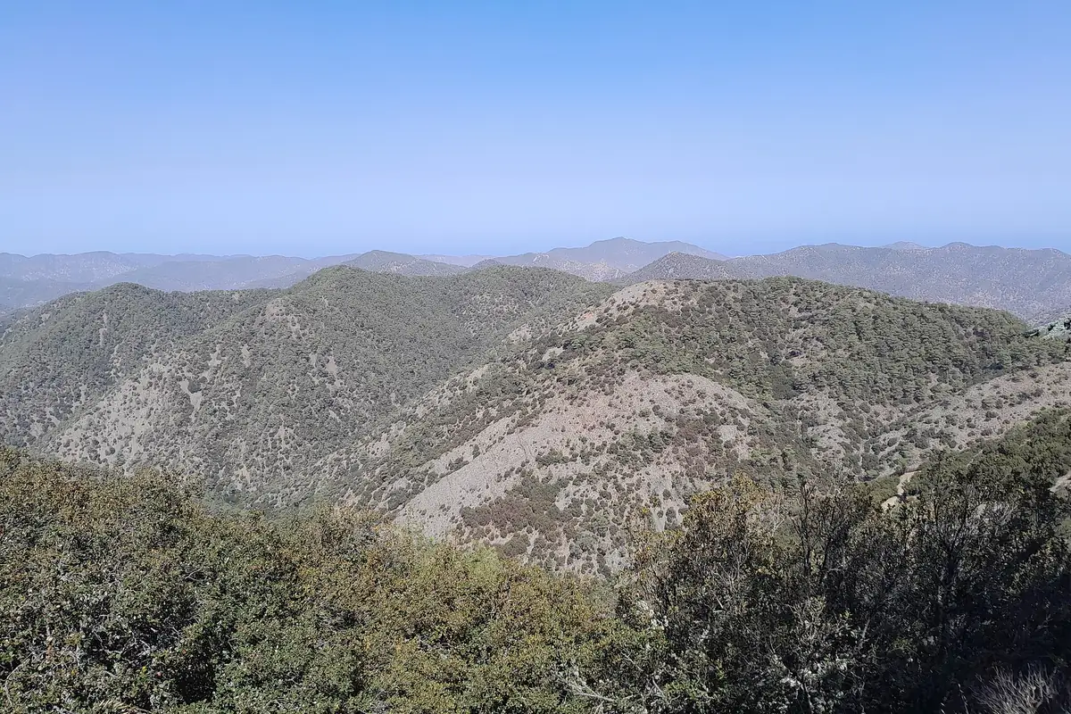 Forested ridges of the Troodos Mountains fading into haze